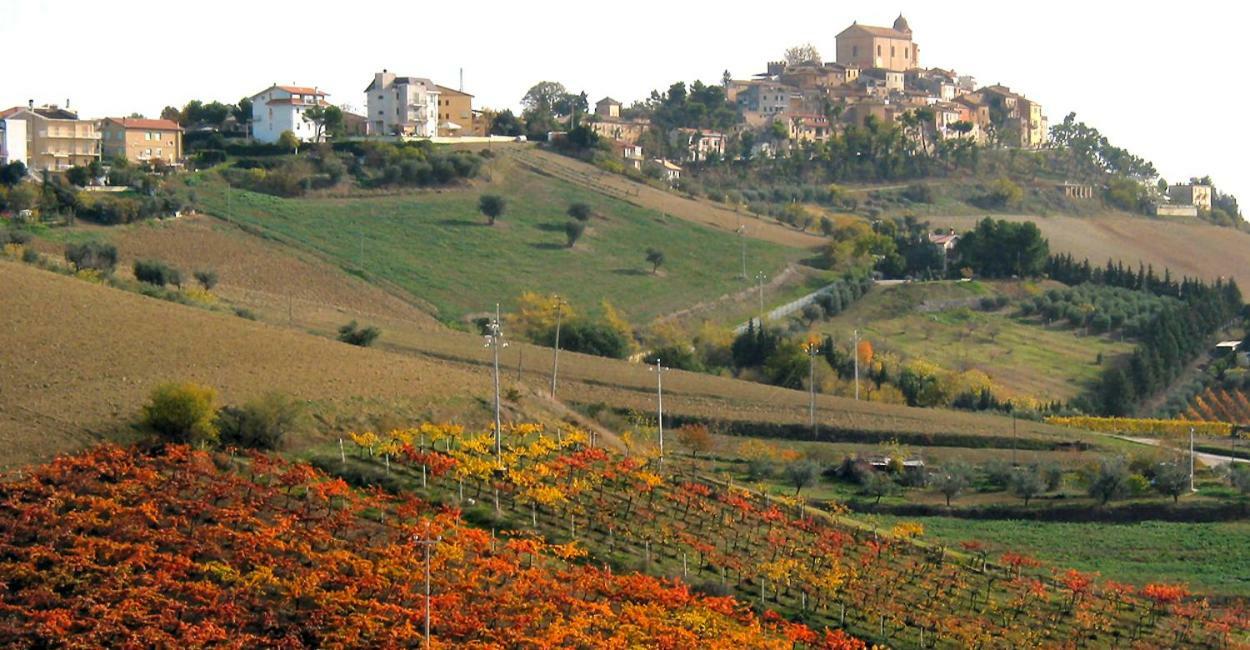 לינה וארוחת בוקר מונטפרנדונה Gli Orti Di San Giacomo מראה חיצוני תמונה